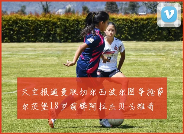 天空报道曼联切尔西波尔图争抢萨尔茨堡18岁前锋阿拉杰贝戈维奇
