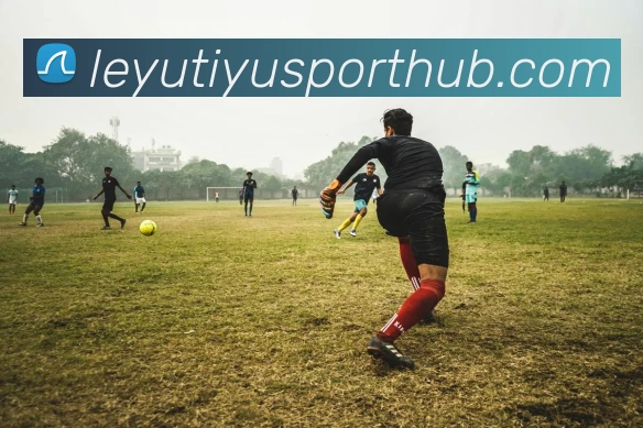 乐鱼体育发展历程